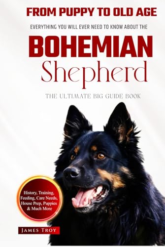 The Ultimate Bohemian Shepherd Big Guide: Everything You Will Ever Need To Know About The Bohemian Shepherd Book The Ultimate Bohemian Shepherd Big Guide: Everything You Will Ever Need To Know About The Bohemian Shepherd Book von Independently published