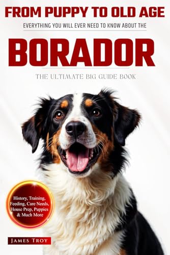 The Ultimate Borador Big Guide: Everything You Will Ever Need To Know About The Borador Book The Ultimate Borador Big Guide: Everything You Will Ever Need To Know About The Borador Book von Independently published