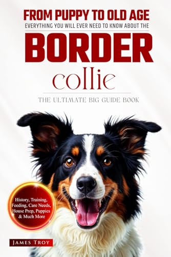 The Ultimate Border Collie Big Guide: Everything You Will Ever Need To Know About The Border Collie Book The Ultimate Border Collie Big Guide: Everything You Will Ever Need To Know About The Border Collie Book von Independently published
