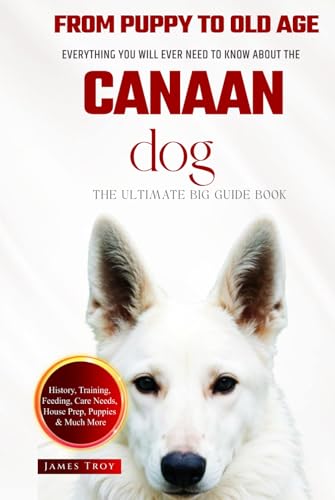 The Ultimate Canaan Big Guide: Everything You Will Ever Need To Know About The Canaan Book The Ultimate Canaan Big Guide: Everything You Will Ever Need To Know About The Canaan Book von Independently published