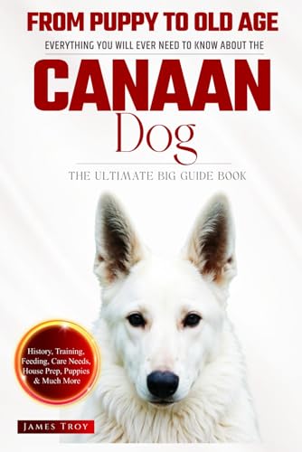 The Ultimate Canaan Big Guide: Everything You Will Ever Need To Know About The Canaan Book The Ultimate Canaan Big Guide: Everything You Will Ever Need To Know About The Canaan Book von Independently published