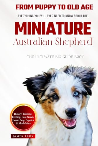 The Ultimate Miniature Australian Shepherd Big Guide: Everything You Will Ever Need To Know About The Miniature Australian Shepherd Book The Ultimate Miniature Australian Shepherd Big Guide: Everything You Will Ever Need To Know About The Miniature Australian Shepherd Book von Independently published