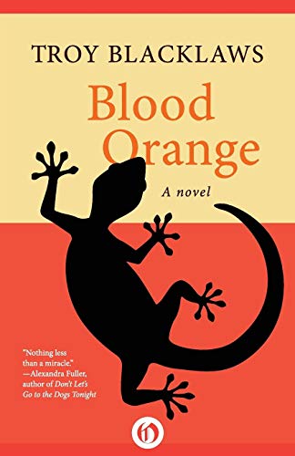 Blood Orange von Open Road Media