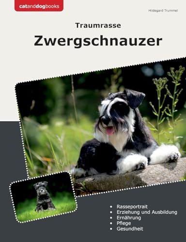 Traumrasse Zwergschnauzer