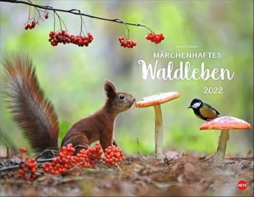 Vadim Trunov: Märchenhaftes Waldleben Posterkalender 2022 von Heye