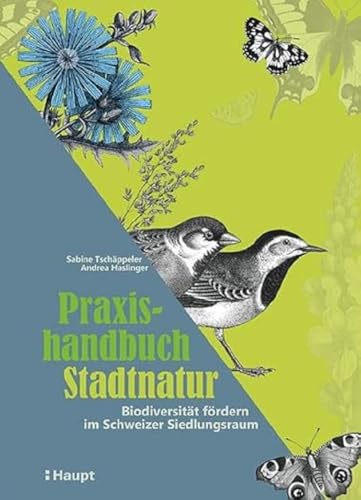 Praxishandbuch Stadtnatur: Biodiversität fördern im Schweizer Siedlungsraum von Haupt Verlag AG