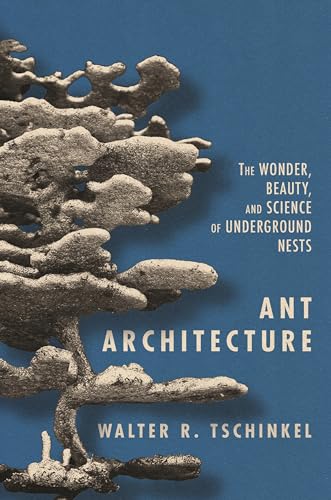 Ant Architecture - The Wonder, Beauty, and Science of Underground Nests Ant Architecture - The Wonder, Beauty, and Science of Underground Nests von Princeton University Press