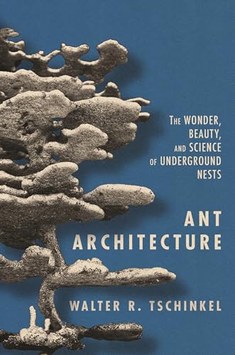 Ant Architecture - The Wonder, Beauty, and Science of Underground Nests