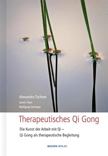 Therapeutisches Qi Gong: Die Kunst der Arbeit mit Qi, Qi Gong als therapeutische Begleitung