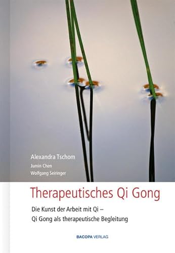 Therapeutisches Qi Gong: Die Kunst der Arbeit mit Qi, Qi Gong als therapeutische Begleitung