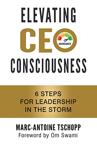 Elevating Ceo Consciousness: 6 Steps for Leadership in the Storm