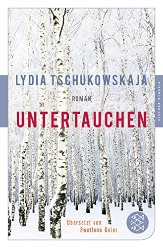Untertauchen: Roman