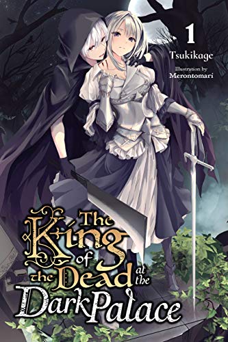 The King of Death at the Dark Palace, Vol. 1 (light novel) (KING OF DEATH AT DARK PLACE LIGHT NOVEL SC, Band 1) von Yen Press
