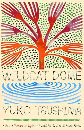 Wildcat Dome: A Novel von Farrar, Straus & Giroux Inc