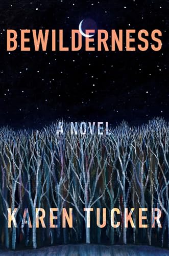 Bewilderness von Catapult