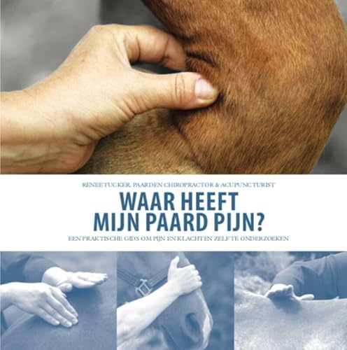 Waar heeft mijn paard pijn?: een praktische gids om pijn en slecht functioneren te onderzoeken mbv technieken uit de chiropractie von Bloemendal Uitgevers b.v.