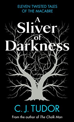 A Sliver of Darkness von Michael Joseph