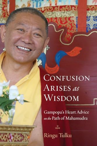 Confusion Arises as Wisdom: Gampopa's Heart Advice on the Path of Mahamudra von Shambhala