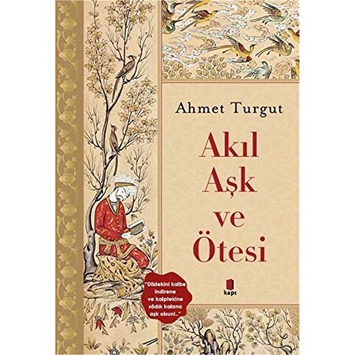 Akil Ask ve Ötesi von Kapı Yayınları