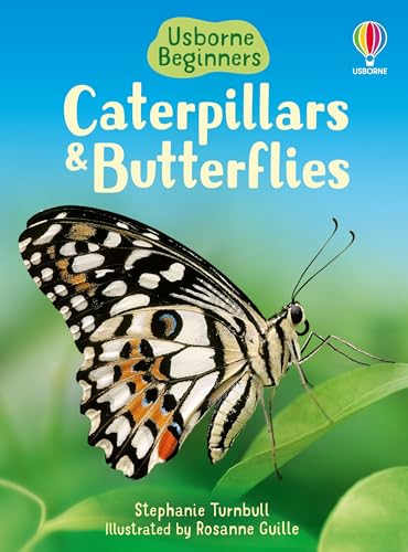 Caterpillars and Butterflies (Beginners) von Unknown