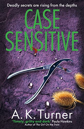 Case Sensitive: A gripping forensic mystery set in Camden (Cassie Raven, 3)