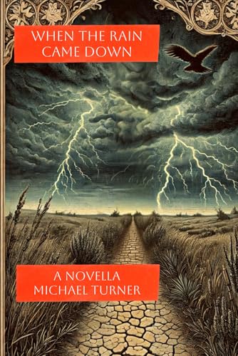 When the Rain Came Down: A Novella von Independently published