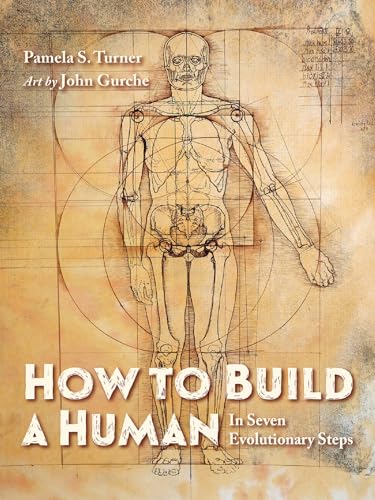 How to Build a Human: In Seven Evolutionary Steps von Charlesbridge