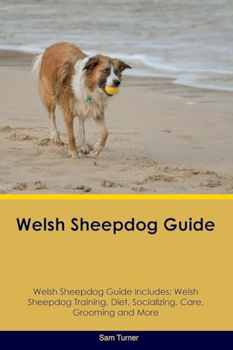 Welsh Sheepdog Guide Welsh Sheepdog Guide Includes: Welsh Sheepdog Training, Diet, Socializing, Care, Grooming, Breeding and More von Desert Thrust Ltd