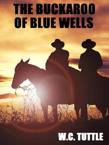 The Buckaroo of Blue Wells von Anson Street Press