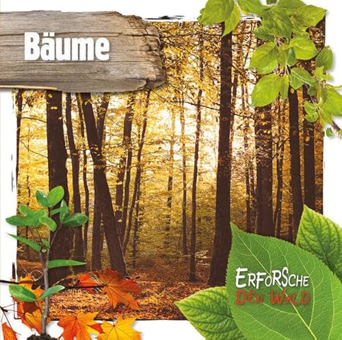 Bäume: Erforsche den Wald (CORONA Sachbücher)