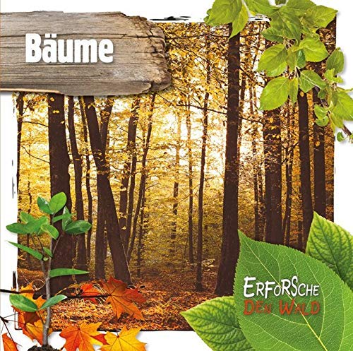 Bäume: Erforsche den Wald