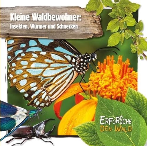 Kleine Waldbewohner: Insekten, Würmer und Schnecken: Erforsche den Wald