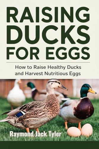 RAISING DUCKS FOR EGGS: How to Raise Healthy Ducks and Harvest Nutritious Eggs von Independently published