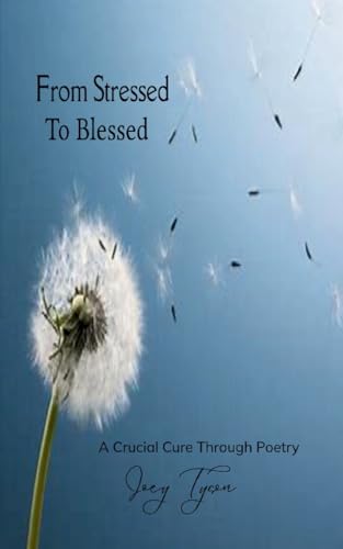 From Stressed to Blessed von Bookleaf Publishing