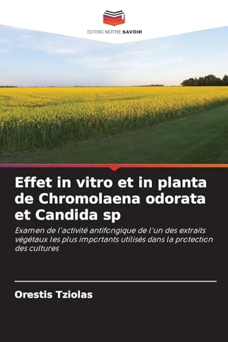 Effet in vitro et in planta de Chromolaena odorata et Candida sp: Examen de l'activité antifongique de l'un des extraits végétaux les plus importants utilisés dans la protection des cultures von Editions Notre Savoir