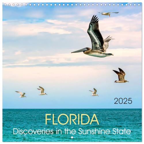 Florida – Discoveries in the Sunshine State (Wall Calendar 2025 12 × 12 Inch) CALVENDO 12 Month Wall Calendar von CALVENDO