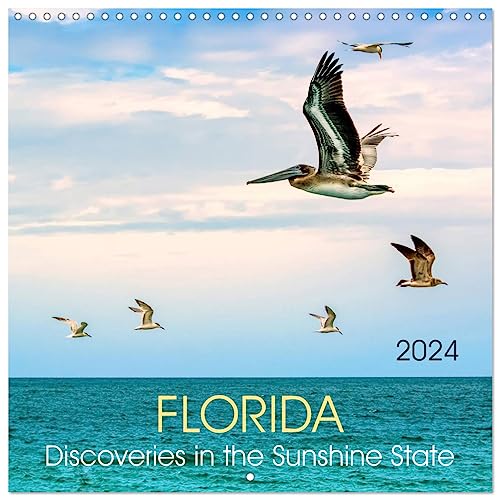 Florida – Discoveries in the Sunshine State (Wandkalender 2024 30x30 cm 30x60 cm geöffnet) CALVENDO Broschürenkalender mit Monatskalendarium zum Eintragen