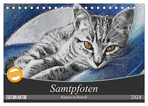 Samtpfoten - Katzen in Pastell (Tischkalender 2024 DIN A5 quer), CALVENDO Monatskalender von CALVENDO