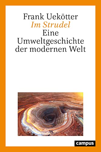 Im Strudel: Eine Umweltgeschichte der modernen Welt von Campus Verlag GmbH