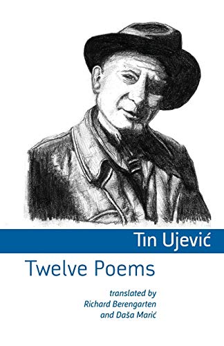 Twelve Poems Twelve Poems von Shearsman Books