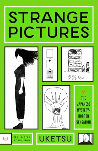 Strange Pictures: A Novel von Unknown