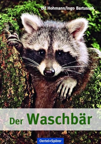 Der Waschbär von OERTEL & SPÖRER