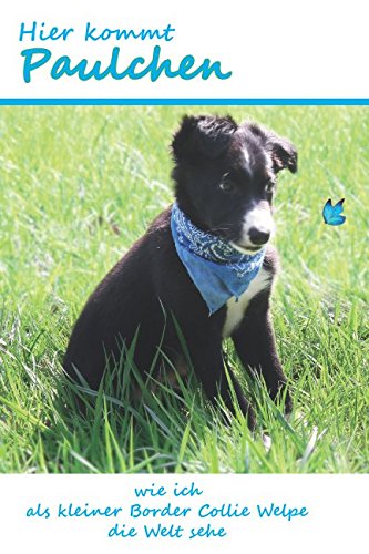 Hier kommt Paulchen: wie ich als kleiner Border Collie Welpe die Welt sehe