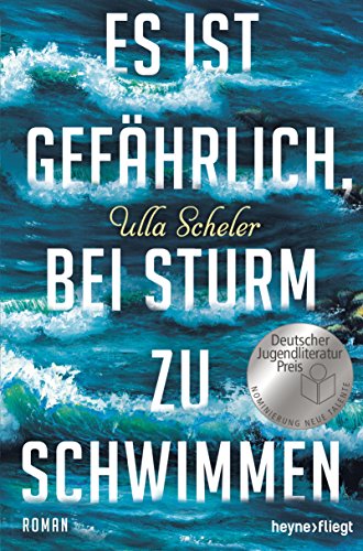 Es ist gefährlich, bei Sturm zu schwimmen: Roman