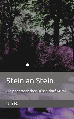 Stein an Stein: Ein phantastischer Düsseldorf-Krimi (Timo Friedherr, Band 1)