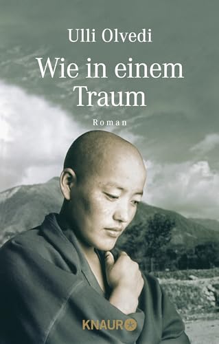 Wie in einem Traum: Roman