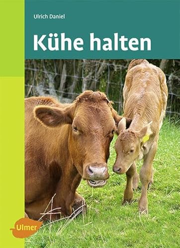 Kühe halten