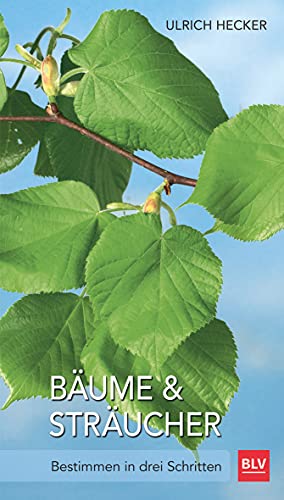 Bäume und Sträucher: Bestimmen in drei Schritten (BLV Bäume & Pflanzen) Bäume und Sträucher: Bestimmen in drei Schritten (BLV Bäume & Pflanzen) von Gräfe und Unzer