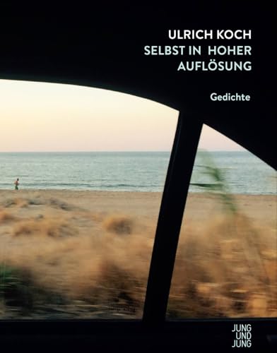 Selbst in hoher Auflösung: Gedichte