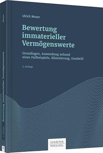 Bewertung immaterieller Vermögenswerte: Grundlagen, Anwendung anhand eines Fallbeispiels, Bilanzierung, Goodwill